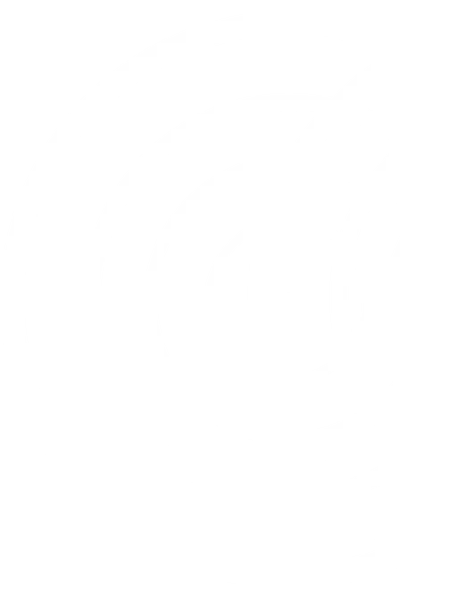 Drum Baffles