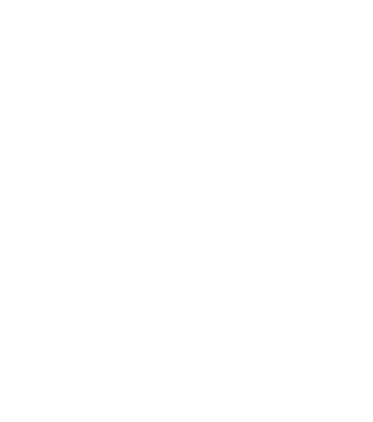 United Citadel Group